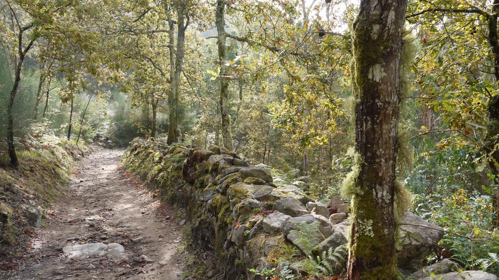 Quinta Das Leiras - Rubiaes Paredes de Coura Exteriér fotografie