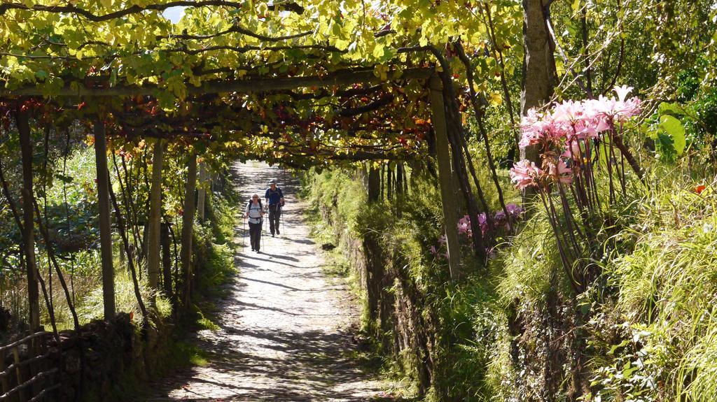 Quinta Das Leiras - Rubiaes Paredes de Coura Exteriér fotografie